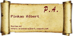 Pinkas Albert névjegykártya